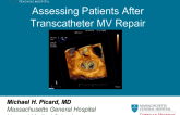 Assessing Patients After Transcatheter MV Repair