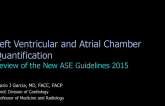 Left Ventricular and Atrial Chamber Quantification