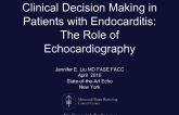 Clinical Decision Making in Patients with Endocarditis: The Role of Echocardiography