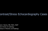 Contrast-Stress Echocardiography Cases