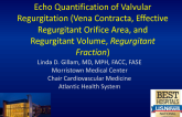 Hemodynamics II Echo Quantification of Valvular Regurgitation (Vena Contracta, Effective Regurgitant Orifice Area, and Regurgitant Volume, Regurgitant Fraction)