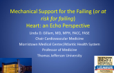 Mechanical Support for the Failing (or at risk for failing) Heart: an Echo Perspective