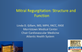 Mitral Regurgitation: Structure and Function