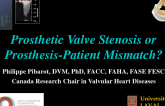 Prosthetic Valve Stenosis or Prosthesis-Patient Mismatch?