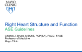 Right Heart Structure and Function - ASE Guidelines