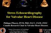 Stress Echocardiography for Valvular Heart Disease