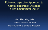 Echocardiographic Approach to Congenital Heart Disease I: The Unoperated Adult