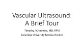 Vascular Ultrasound:A Brief Tour