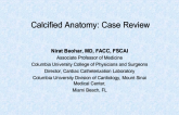 Calcified Anatomy: Case Review