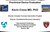 Atherosclerosis, Vulnerable Plaque, and How We Evaluate Devices in the Preclinical Setting