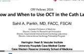 How and When to Use OCT in the Cath Lab