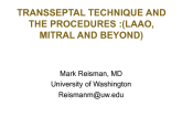 Good Transseptal Technique and the Procedures You Can Do With It (LAA, Mitral, and Beyond)