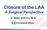 Surgical Approaches to LAA Closure: Techniques, Devices, and Results