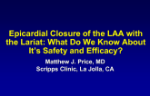 Epicardial Closure of the LAA With the Lariat: What Do we Know About It's Safety and Efficacy?