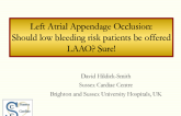 Debate #1: Should Low bleeding Risk Patients With Atrial Fibrillation Be Offered LAA Closure? Yes – As Long As Full Consent Is Provided, Let the Patient Decide!
