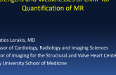 Strengths and Weaknesses of CMR for Quantification of MR