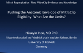 Pushing the Anatomic Envelope of MitraClip Eligibility: What Are the Limits?
