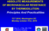 Absolute Measurements of Microvascular Resistance by Thermodilution: Principle and Practicalities