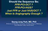 Should the Sequence Be: FFR-PCI-OCT? FFR-PCI-IVUS? Just FFR or just IVUS/OCT? And When Is Angiography Enough?
