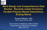 Stent Design and Comprehensive Data Review: Resolute Cobalt Chromium Durable Polymer-Based Zotarolimus-Eluting Stents