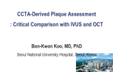 CCTA-Derived Plaque Assessment: Critical Comparison With IVUS and OCT
