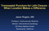 Cases #3 and #4: Transseptal Puncture for LAA Closure - When Location Makes a Difference