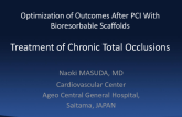 Treatment of Chronic Total Occlusions