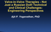Valve-in-Valve Therapies - Not Just a Russian Doll! Technical and Clinical Challenges: Engineering Perspectives