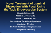 TCT 1456: Novel Treatment of Luminal Dissection With Focal Using the Tack Endovascular System