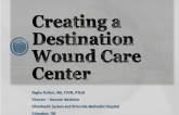 Critical Limb Ischemia: How to Develop a Comprehensive State-of-the-art Critical Limb Center