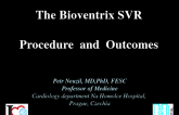 The Bioventrix SVR Procedure and Outcomes