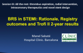 Biodegradable Scaffolds In STEMI: Rationale, Registry outcomes (Literature search) and TROFI II 2-year Results