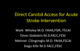 Direct Carotid Access During Acute Stroke Intervention