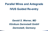 Parallel Wires and Antegrade IVUS Guided Re-entry