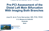 Case #2: Pre-PCI Assessment of the Distal Left Main Bifurcation With Imaging Both Branches