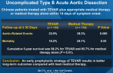 Endovascular Repair vs Medical Management of Uncomplicated Type B Acute Aortic Dissection