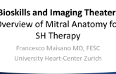 Overview of Mitral Anatomy for SH Therapy