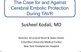 The Case for and Against Cerebral Embolic Protection During TAVR