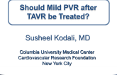 Should Mild Paravalvular Regurgitation After TAVR Be Treated?