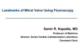 Landmarks of the Mitral Valve Using Fluoroscopy