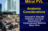 Paravalvular Leak Therapy in Mitral Valve Prosthesis: Anatomical Considerations