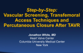 Step-by-Step: Vascular Screening, Transfemoral Access Techniques, and Percutaneous Closure After TAVR