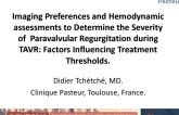 Imaging Preferences and Hemodynamic Assessments to Determine the Severity of PVR During TAVR: Factors Influencing Treatment Thresholds