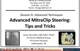 Advanced MitraClip Steering: Tips and Tricks