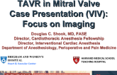 TAVR in Mitral Valve Case Presentation (VIV): Focus on Imaging