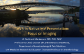 TAVR in Native MV Presentation: Focus on Imaging