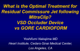 TVT 1063: What Is the Optimal Treatment for Residual Commissural Jet Following MitraClip? Ventricular Septal Defect Occluder Device vs Gore CARDIOFORM