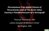 TVT 1045: Percutaneous Transseptal Closure of Paravalvular Leak of the Aortic Valve Causing a Pseudoaneurysm of a Homograft