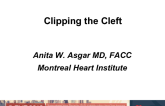 TVT 1171: Clipping the Cleft