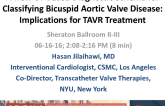 A New CT-Based Diagnostic Schema for Classifying Bicuspid Aortic Valve Disease: Implications for TAVR Treatment